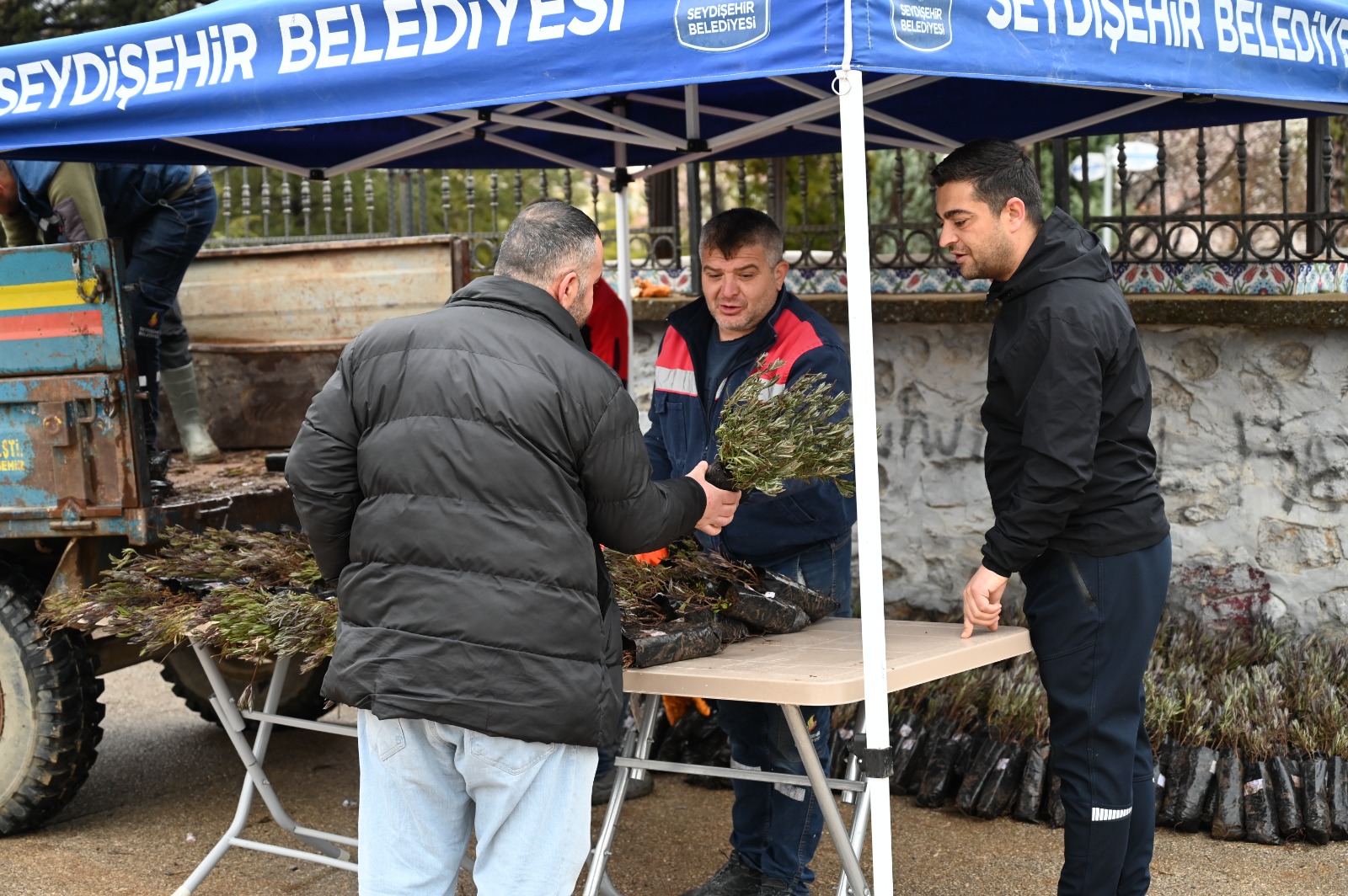 BELEDİYEDEN MEZAR ZİYARETİNE GELENLERE LAVANTA FİDESİ 