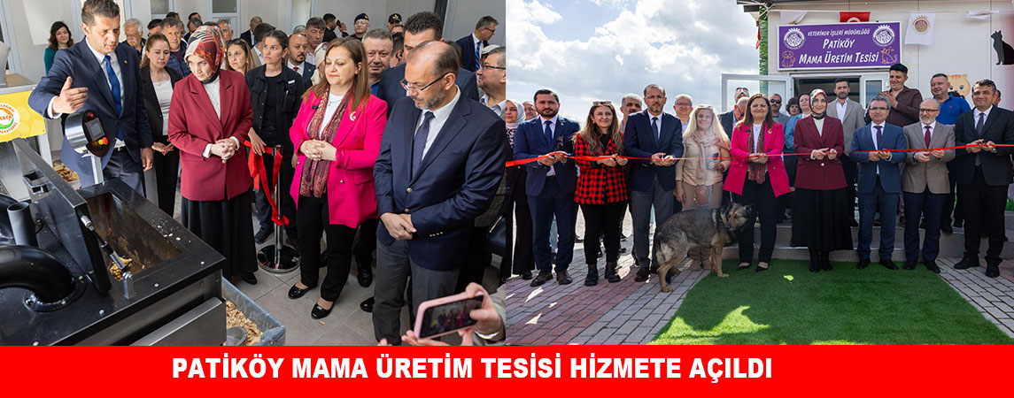 ATIK YEMEKLER SOKAK HAYVANLARI İÇİN MAMAYA DÖNÜŞTÜRÜLÜYOR