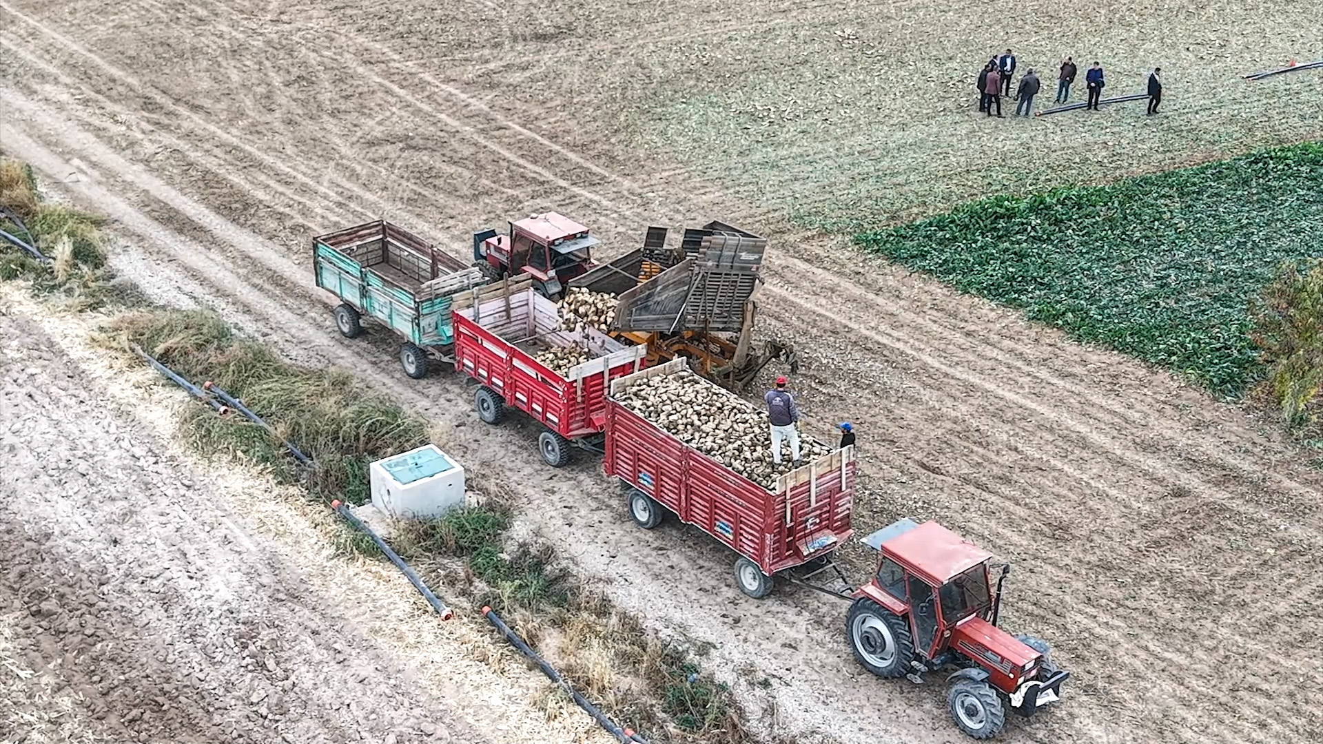 BAŞKAN AYDIN, HASAT ZAMANINDA ÇİFTÇİLERLE BULUŞTU