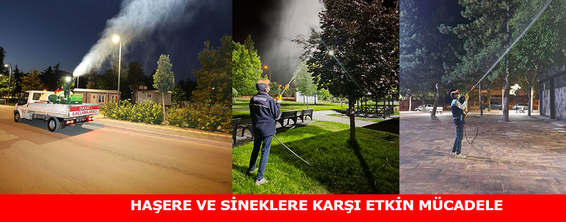 HAŞERE VE SİNEKLERE KARŞI ETKİN MÜCADELE