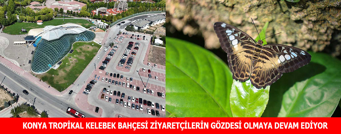 KONYA TROPİKAL KELEBEK BAHÇESİ ZİYARETÇİLERİN GÖZDESİ OLMAYA DEVAM EDİYOR